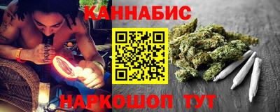 МДПВ Кингисепп