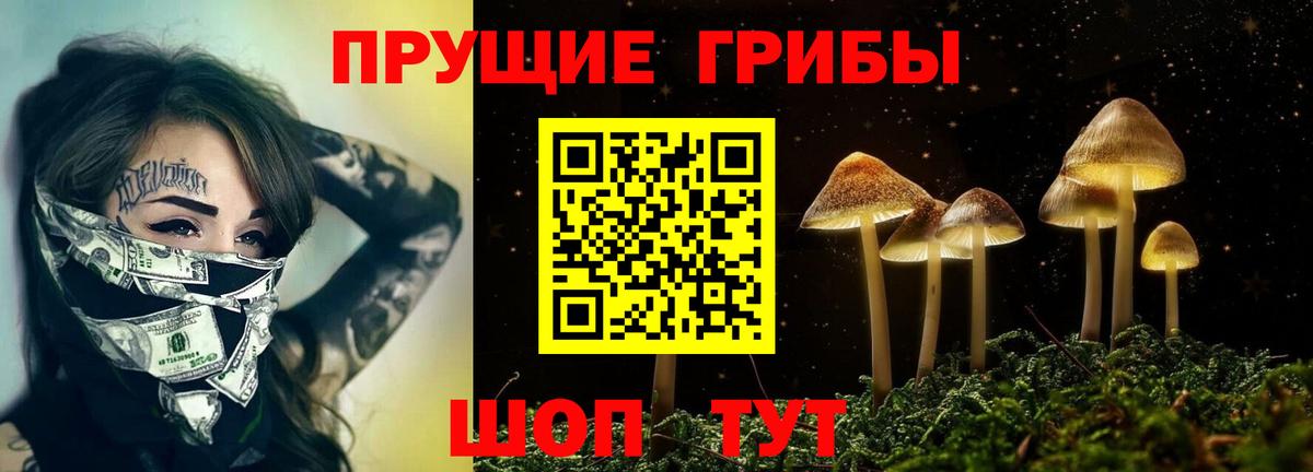 Туймазы  Галлюциногенные грибы Psilocybine cubensis  Вход с VPN 